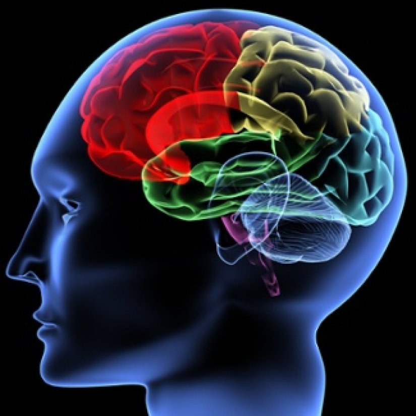Novi načini u liječenju mozga