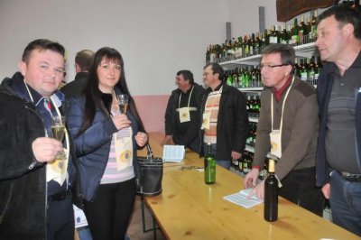 Prikupljanje uzoraka vina za izložbu mladih vina “Vinea 2017”