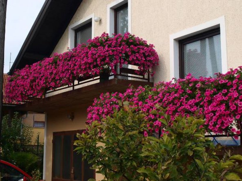 FOTO: Odabrani najljepše uređeni balkoni i okućnice u Novom Marofu