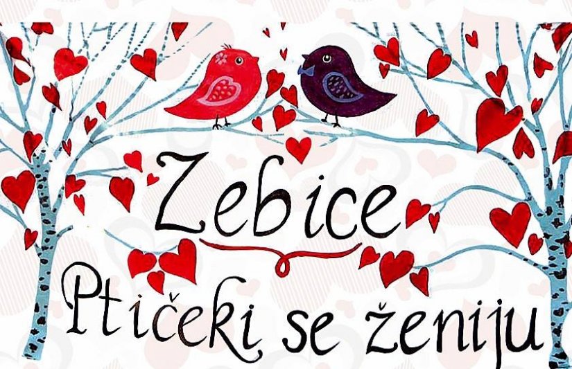 Udruga udomitelja &quot;Nada&quot; i ove godine u Ivancu organizira manifestaciju &quot;Zebice - ptičeki se ženiju&quot;