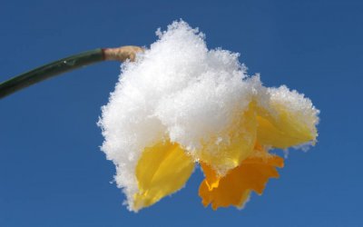 Pučka meteorologija predvidjela snijeg u ožujku