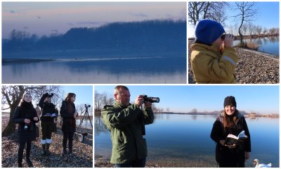 FOTO Na jezeru Motičnjak održana akcija zimskog prebrojavanja ptica vodarica