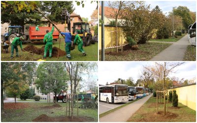 FOTO Zahvaljujući nagradi, posađena nova drveća u Varaždinu