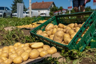 Poljoprivrednici, javite se: kroz mjere Grad Varaždin osigurao 69.400 eura