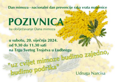 Ludbreške Narcise u subotu 20. siječnja obilježavaju Dan mimoza