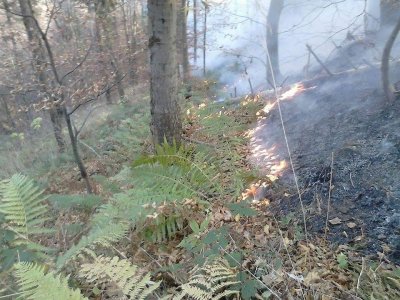 FOTO: U požaru kod Vrbna izgorjelo oko 1,5 hektara šume