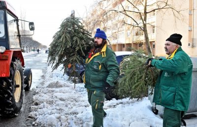 FOTO: Odbačena božićna drvca označila kraj blagdanskog ozračja