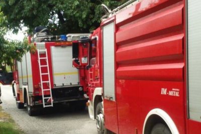 Varaždin: Vatrogasci s ceste uklanjali stablo koje je srušio vjetar