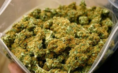 Varaždinska policija zatekla 25-godišnjaka s 12,55 grama marihuane
