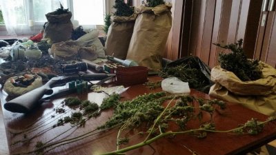 Varaždinska policija zaplijenila 15 kg marihuane i razbila lanac preprodavača droge
