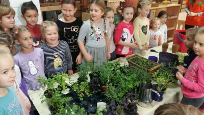 FOTO Mališani iz vrtića u Kozarčevoj posadili organski vrt sa začinskim biljem