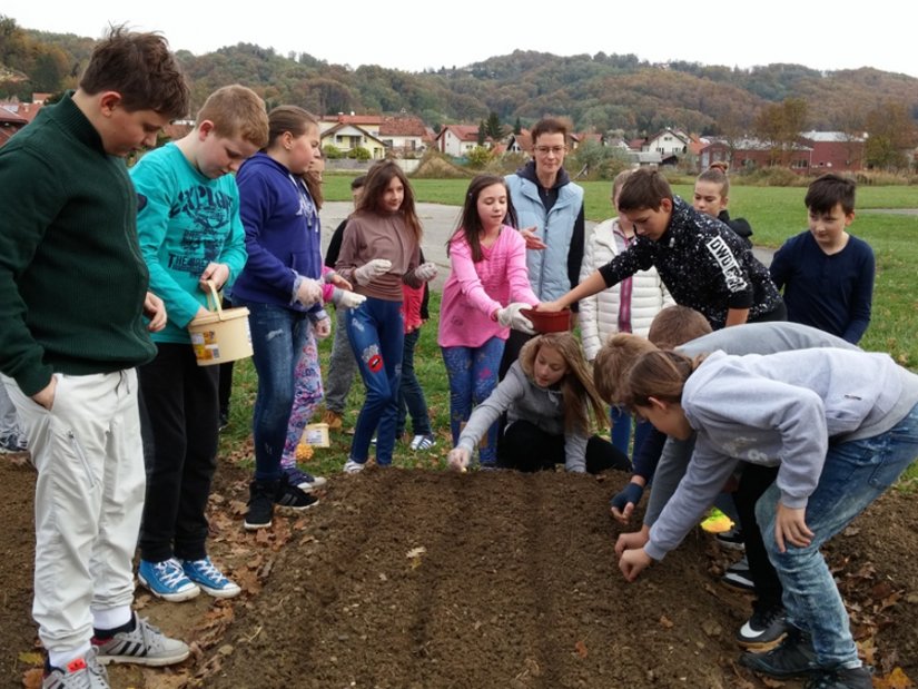 FOTO: Započeli radovi u novom školskom vrtu, prvo zasadili - zimski luk