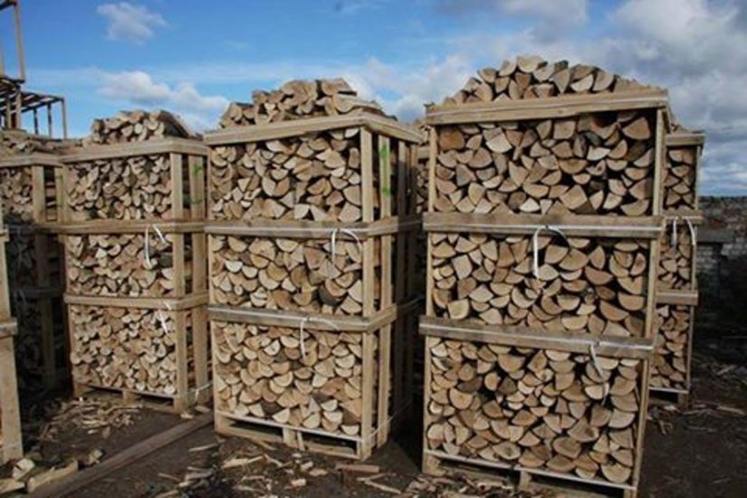 57 Lepoglavčana dobit će sredstva za troškove drva za ogrjev