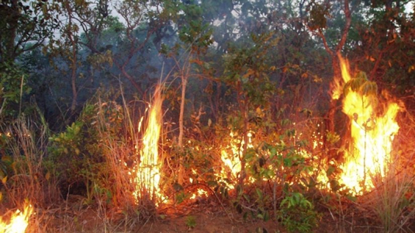 Policija traži piromana koji je zapalio suho raslinje u Sračincu