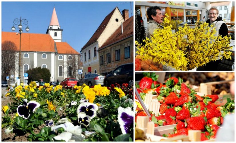 FOTO U Varaždin stiglo proljeće puno boja cvijeća i mirisa jagoda s placa