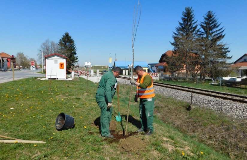 Nastavak ozelenjivanja javnih površina u općini Gornji Kneginec