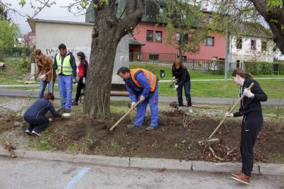 Doprinos zajednici: U ivanečkom Malom parku zasadili 90 ukrasnih grmova