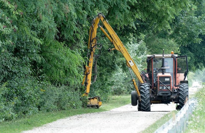 Radnici Hrvatskih šuma počeli čistiti zaštićeno područje Dravske park-šume