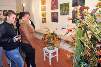 FOTO: Cvjetni ugođaj baroka s mađarskim ozračjem na 22. međunarodnoj izložbi cvijeća u Starom gradu