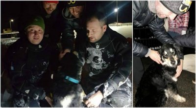 Varaždinci Marko Savić i Nikola Podhraški preplivali ledenu Dravu i spasili mladu pesicu