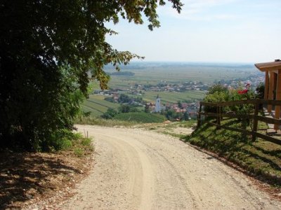 U tijeku modernizacija ceste Falinić Breg – Prekorje u općini Cestica