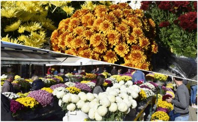 FOTO Uoči blagdana Svih svetih: U tijeku Sajam cvijeća i svijeća na Banfici