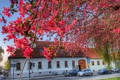 Tripadvisor: Palatin, Kneginečka hiža i Angelus najbolji restorani u Varaždinskoj županiji