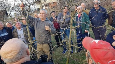 Stiže proljeće: Članovi Udruge Varaždinbreg u voćnjaku na Banjšćini učili o orezivanju jabuka