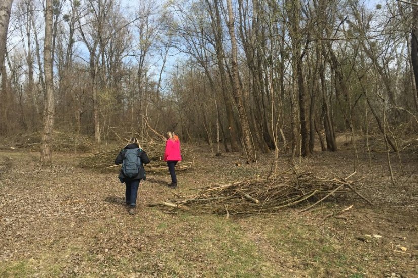 Počelo uređenje poučne staze u Dravskoj park-šumi u Varaždinu