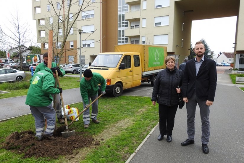 Posadili nova stabla u Jalkovečkoj za zeleniji i zdraviji Varaždin