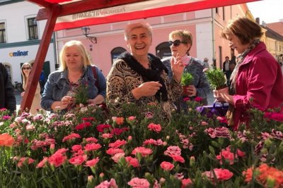 Zajednica žena HDZ-a Katarina Zrinski darivala Varaždinke cvijećem