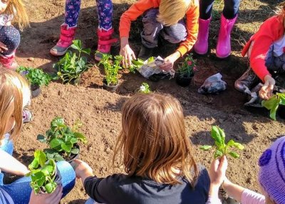 Petstotinjak učenika u školskim će vrtovima uzgajati voće, povrće i začinsko bilje