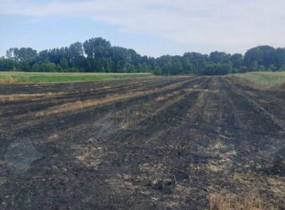 FOTO Posljedice požara u Donjem Vratnu: stradale i parcele na kojoj je izvršen otkos pšenice i ječma