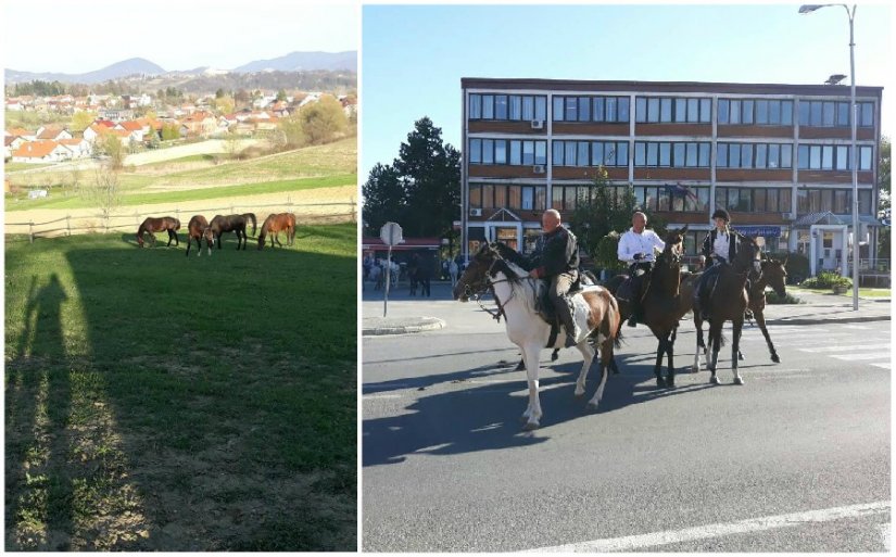 Novomarofski konjari pozivaju na 2. projahivanje novomarofskim krajem