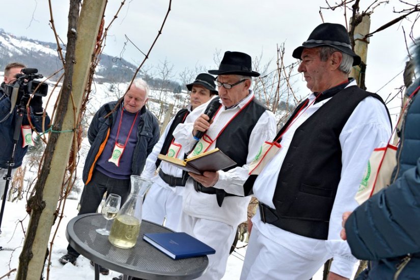 Toplički vinogradari pozivaju na Vincekovo uz gastro delicije, vrhunska vina i Ex Fakine