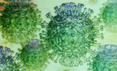Potvrđena dva nova slučaja zaraze koronavirusom u Hrvatskoj