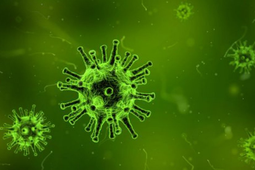 Sve o koronavirusu: kako smanjiti rizik od zaraze, tko je najugroženiji, kada bi ugroza mogla prestati...