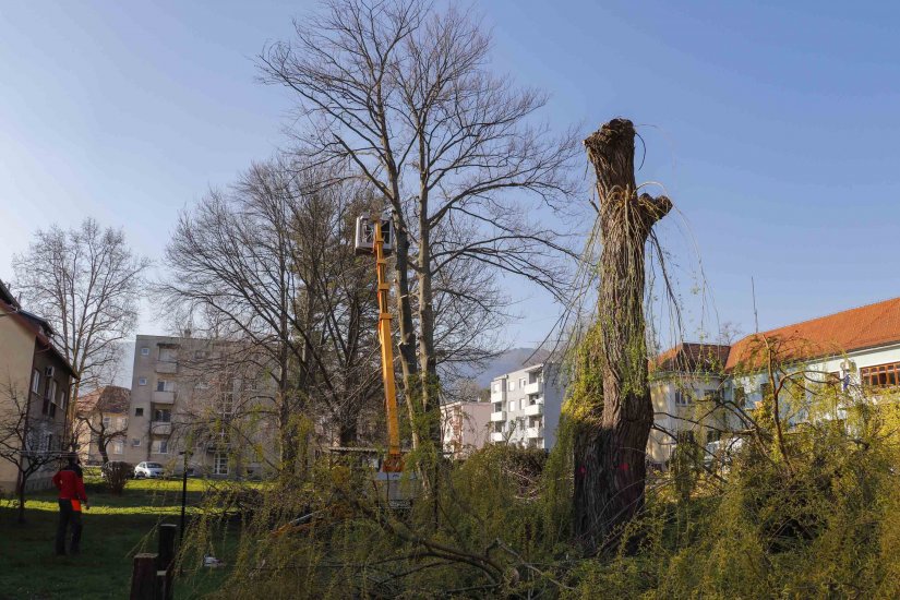 U Ivancu nesmetano traju radovi na revitalizaciji parkovnih površina i sanaciji drvoreda