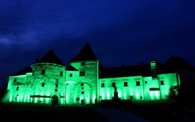 Uz Međunarodni dan gastroshize varaždinski Stari grad bit će osvijetljen zelenom bojom