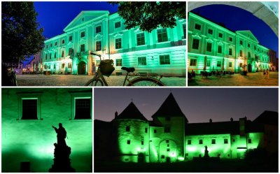 FOTO Stari grad i Županijska palača zasjali u zelenoj boji povodom Dana svjesnosti o gastrošizi