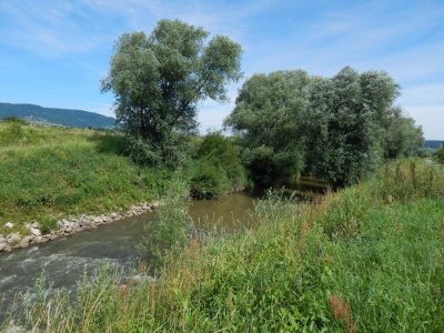 S brane na Bednji kod Velikog Bukovca lopov ukrao zupčanike