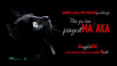 Kristijan Petrović o mačkama: Vrijeme provedeno s mačkom nikad nije izgubljeno