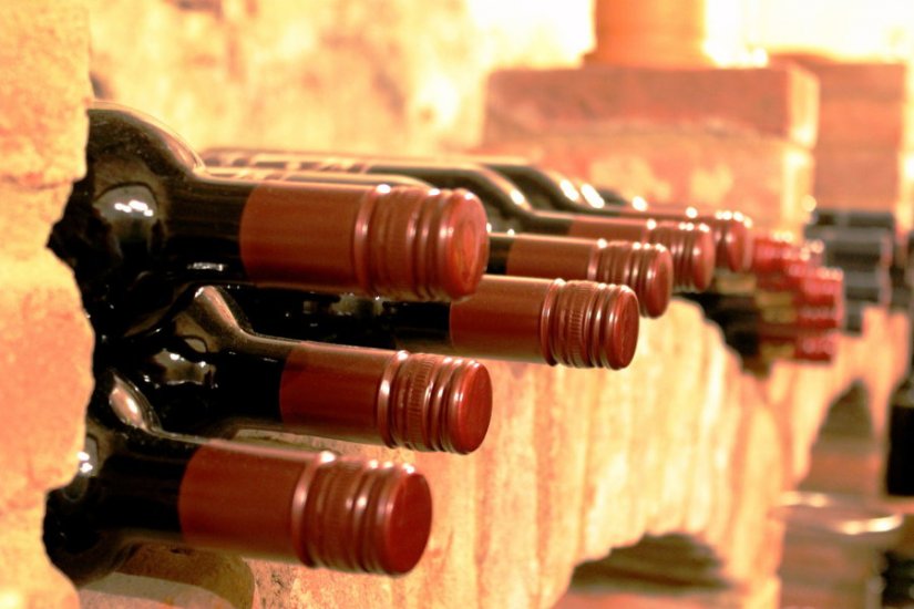 Šest milijuna kuna potpore regionalnim organizacijama vinara i vinogradara