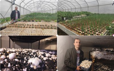 Damir Katalenić (33) iz V. Toplica krenuo u poljoprivredu: &quot;Koronakriza proizvodnju usporila i promijenila&quot;