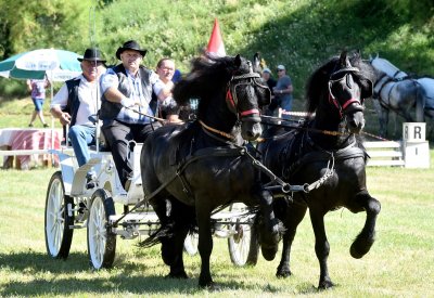 FOTO U Varaždinu Dan kočija - gizdavi konji i stare kočije prava atrakcija!