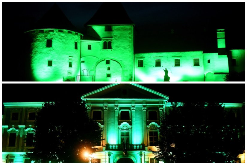 FOTO Stari grad i Županijska palača u zelenom povodom Dana svjesnosti o gastroshizi