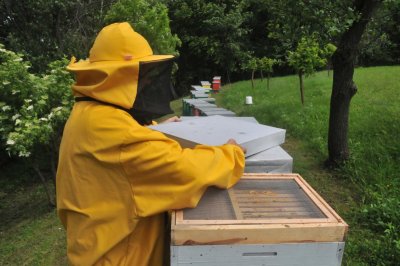 U Donjem Kućanu nepoznati počinitelj je porazbacao i oštetio više košnica s pčelama
