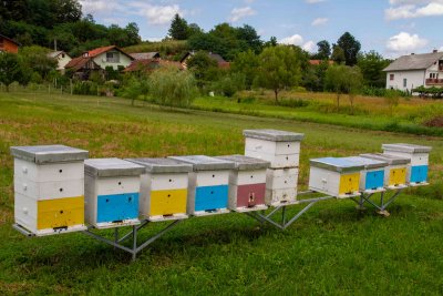 Grad Ivanec pčelarima isplatio novčane potpore za očuvanje pčelinjih zajednica