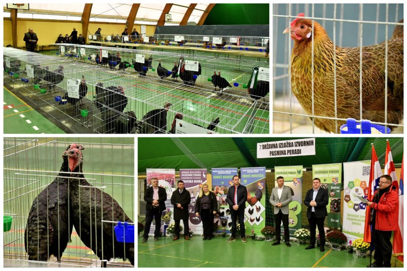 FOTO Zagorski purani i kokoši hrvatice u Graberju: održana državna izložba izvornih pasmina peradi