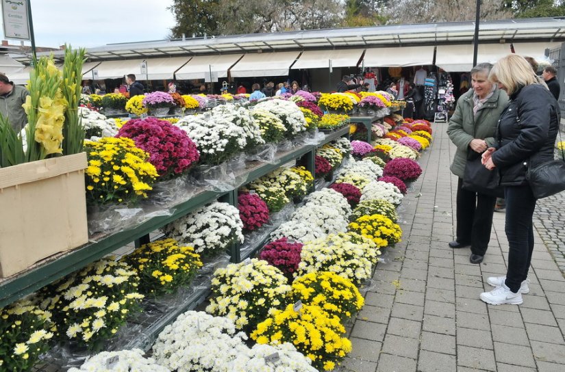Ususret blagdanu Svih svetih: od sutra počinje prodaja cvijeća na placu i sajmištu na Banfici
